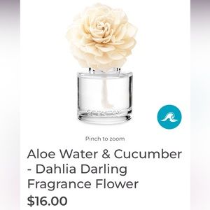 Scentsy Dahlia Darling Fragrance Flower Aloe Water & Cucumber New In Box